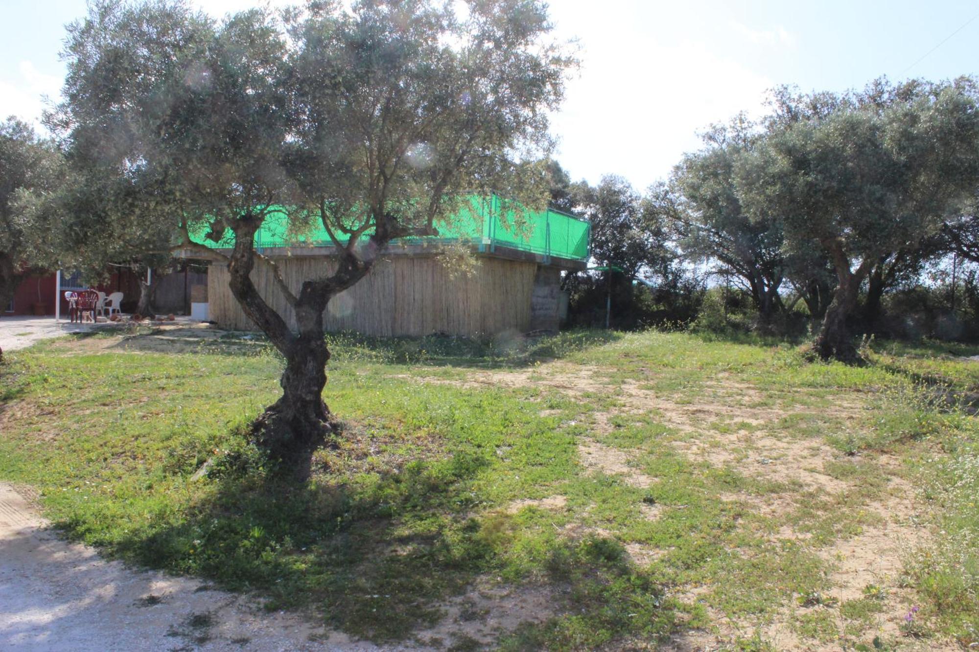 Casa De Campo En Coín Buitenkant foto